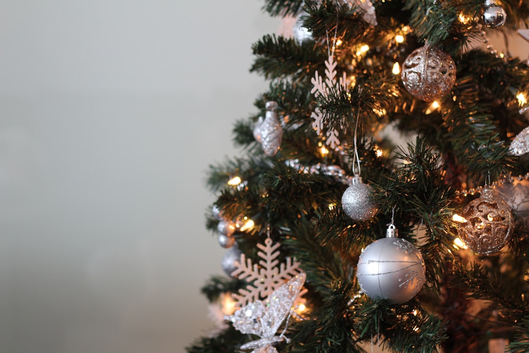 ¡Feliz Navidad! Celebrating a Merry Christmas in Spanish